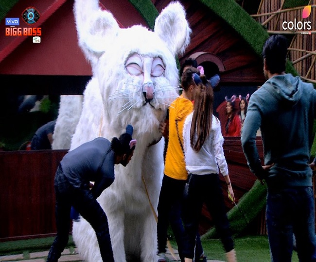 Bigg Boss 13 Day 80 Meri billi mujhi se meow task begins