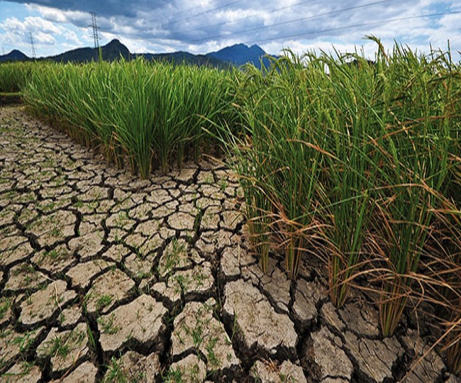 HC asks Maharashtra govt about steps taken to tackle drought