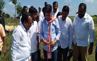 'If Balasaheb was alive...': NCP's Rohit Pawar takes dig at BJP amid..