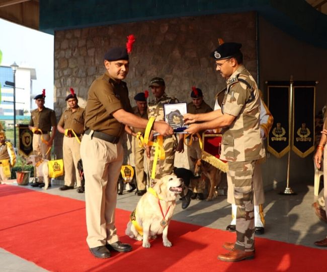 thank-you-for-your-services-cisf-retires-seven-soldier-dogs-shares-heartwarming-post-see-pics