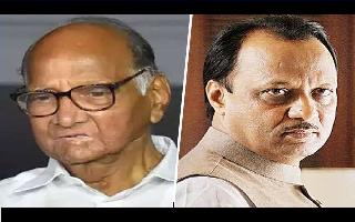 Maharashtra Coup | NCP sacks Ajit Pawar as legislative unit head, says &lsquo;he..