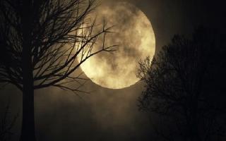 Friday the 13th coincides with rare full moon event tonight! Is it..