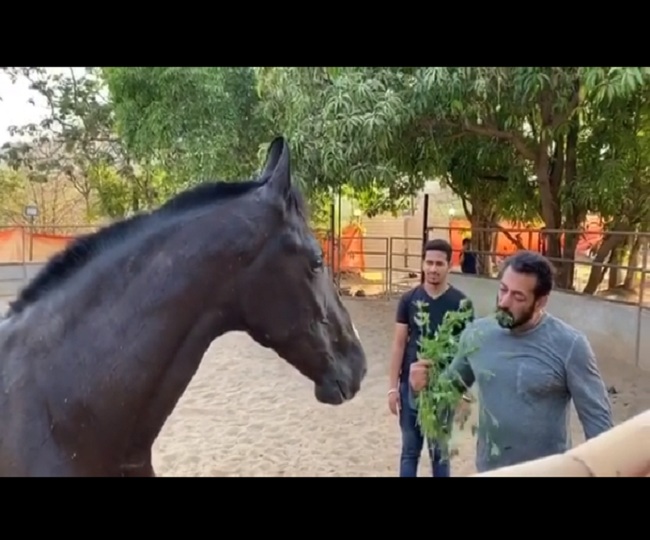 Amid lockdown, Salman Khan has 'breakfast with love' leaving Internet amused | Watch