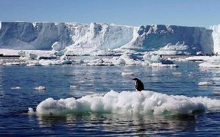 Greenland's ice sheets shrank by record 532 billion tons in 2019