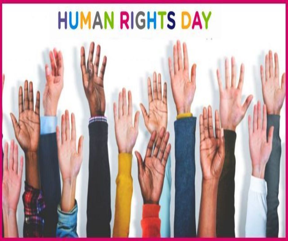 research about human rights day