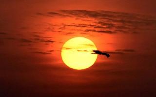 Earth could be hit by 'mini ice age' in 2020 as Sun about to enter..