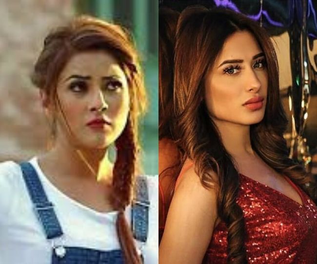 bigg-boss-13-preview-vishal-bagga-conspire-to-break-sidharth-and-shehnazs-friendship-mahira-gets-into-big-argument-with-asim-watch