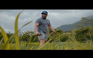 Watch: Salman Khan shares another 'farming' video from paddy fields