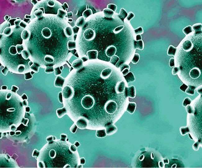 Without viruses, world would end in a day and half: Report