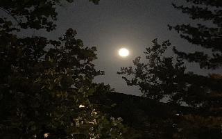 Lunar Eclipse July 2020 End Timings: Here's all you need to know about the..