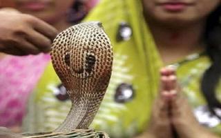 Nag Panchami 2020: Here's why this temple in Ujjain opens only once a..