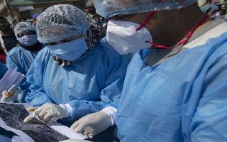 Coronavirus News: India's COVID-19 tally nears 8 lakh-mark, death toll at..