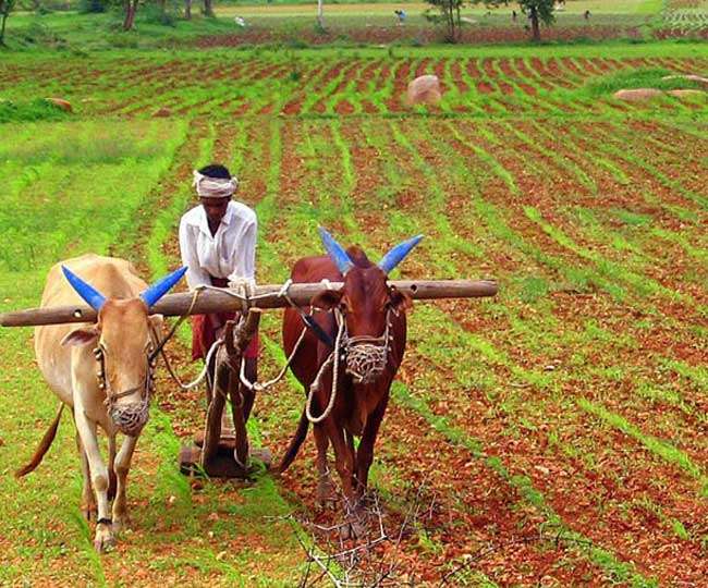Economic Package Day 2: 3 crore farmers to get additional emergency credit support of Rs 30,000 crore