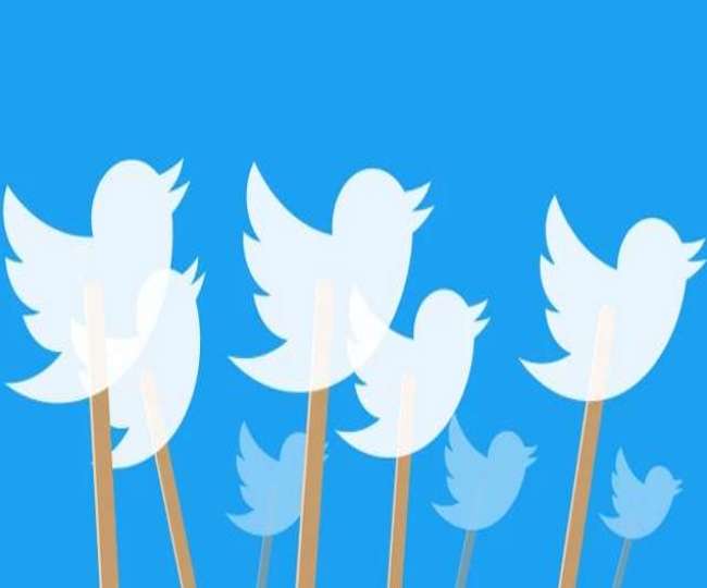 'Reply to get verified': Twitter's blue tick giveaway is twisted tale of new experiments