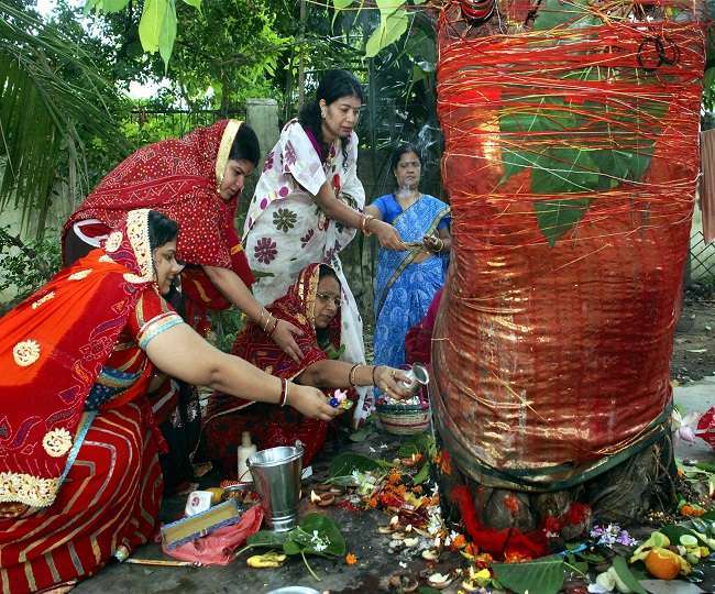 Vat Savitri Vrat 2020: Date, Timing, Puja Vidhi and importance of  worshipping Banyan tree on this day