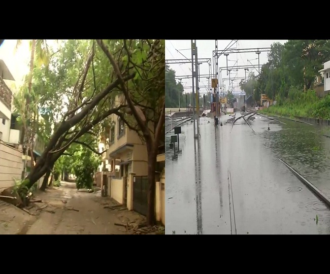 Cyclone 'Nivar': 3 Killed In Tamil Nadu, Trees Uprooted, Walls Collapse ...