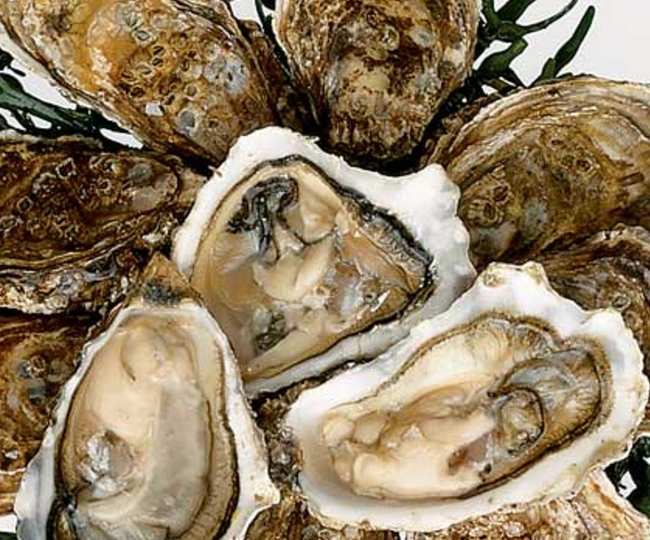 Five zincrich foods to boost immunity during winters