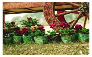 Earth Day 2021: Try these 4 DIY planters from scratch and do your bit for..