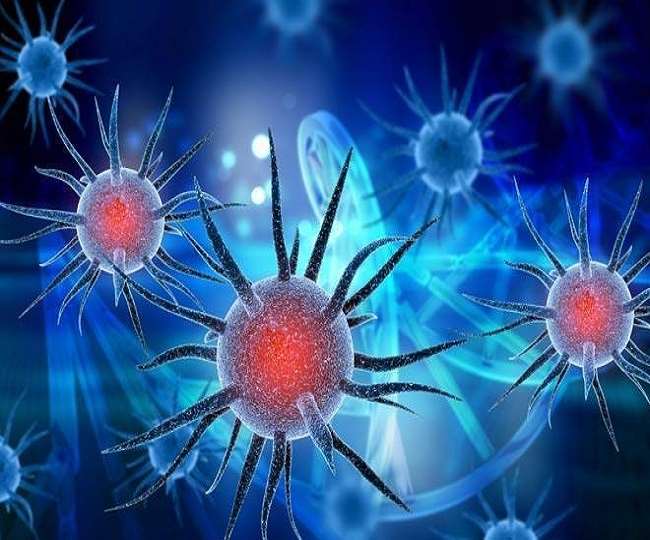 who-says-india-entering-endemic-stage-of-covid19-all-you-need-to-know