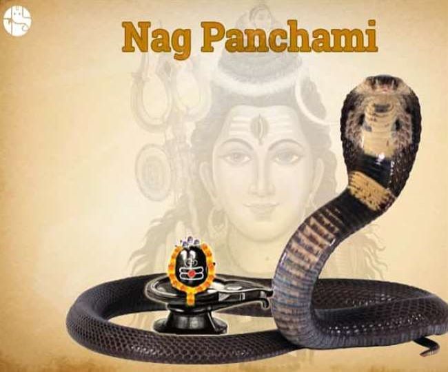 89+ most beautiful images in Nag Panchami Festival in India