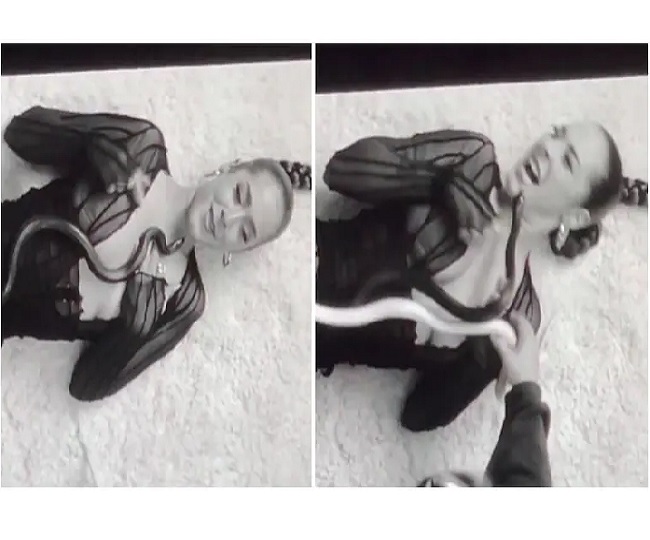Horrifying! US singer gets bitten by snake during her music video shoot | Watch