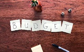 Union Budget 2021 App: Access Budget documents on this mobile app; here's..