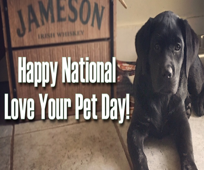 National Love Your Pet Day 2021 Wishes, quotes, SMS, WhatsApp