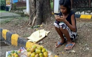 With 12 mangoes sold for ₹1.2 lakh, girl gets smartphone for online classes