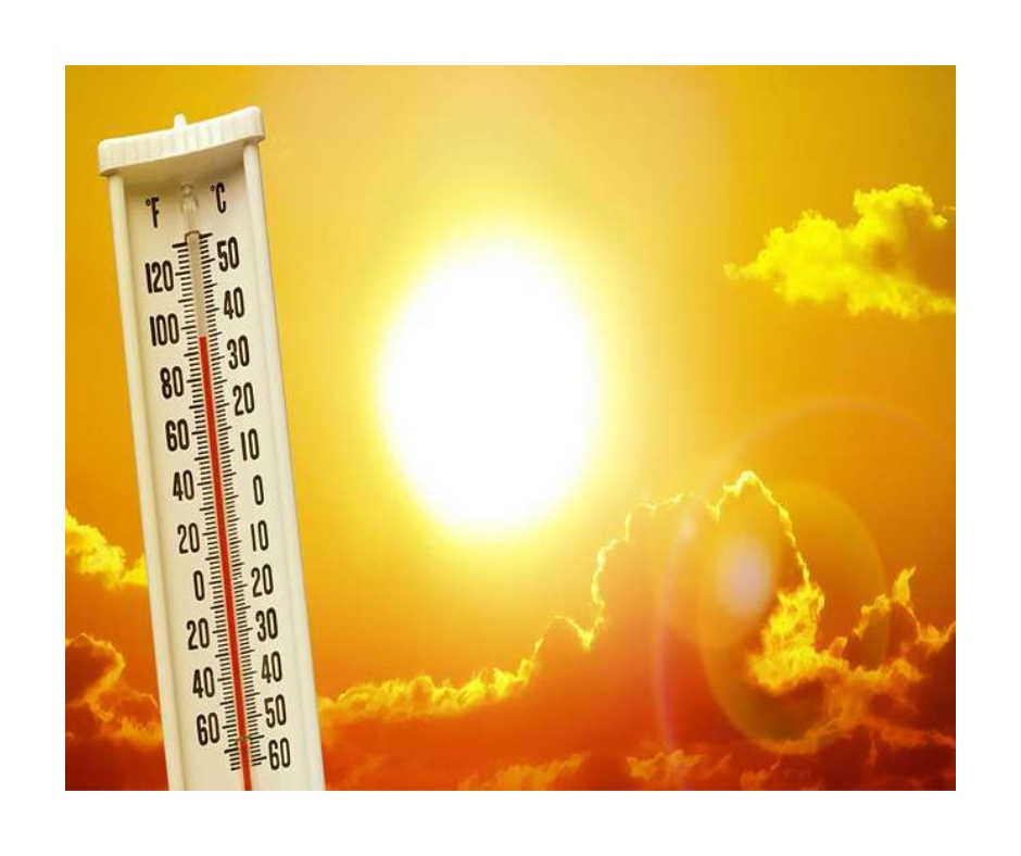 Over 200 people die as Canada records all-time high temperature of 49.5 ...