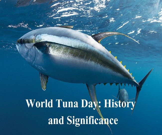 World Tuna Day 2021: When is Tuna Day? Know history and ...