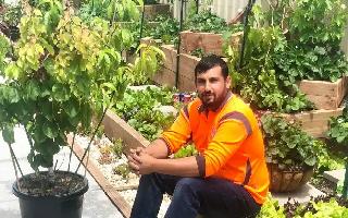 Australian gardener claims Guinness World for growing 10 different fruits..