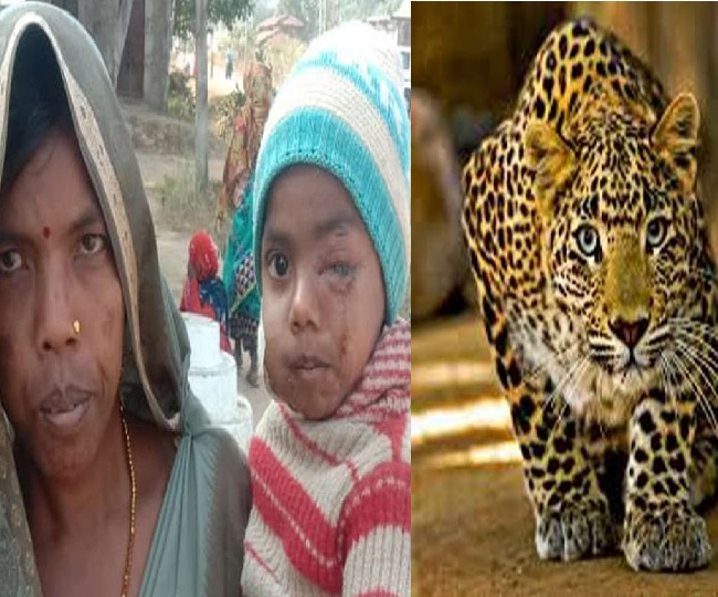 Madhya Pradesh woman fights leopard to save 8-year-old son after chasing it for a mile