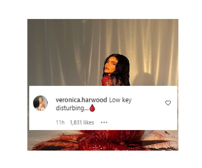 Kylie Jenner, drenched in blood, poses bare body for photoshoot; netizens say 'sick and disturbing'