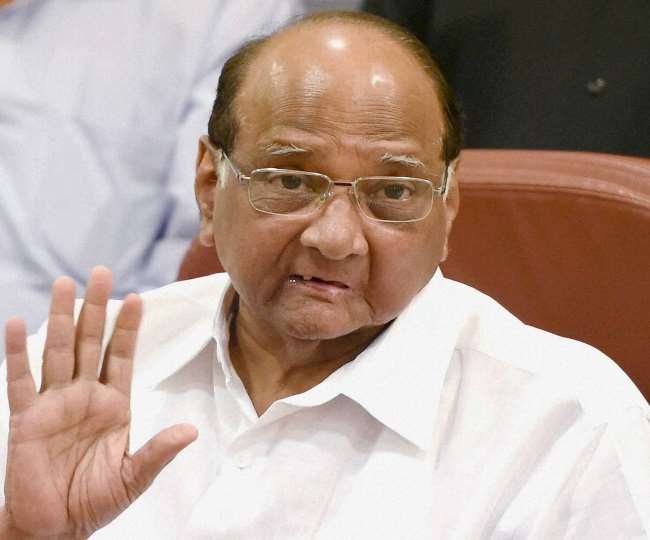 Fissures in Maha Vikas Aghadi govt? Sharad Pawar says Congress is like a 'zamindar' reminiscing about past