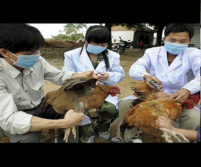 Jagran Explainer: China logs 1st human case of H3N8 bird flu; what is it and does it pose danger of mass spread?