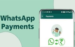 WhatsApp offers cashback on using its digital payment system | Here's how much you can earn