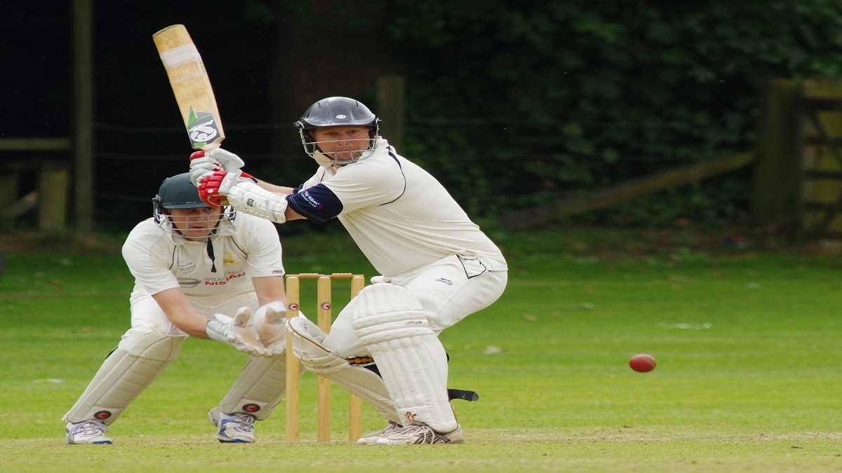 What's actually the best material for baseball and cricket bats? - ABC News