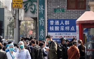 Langya Virus, The New Zoonotic Infection That Has Infected 35 In China |..