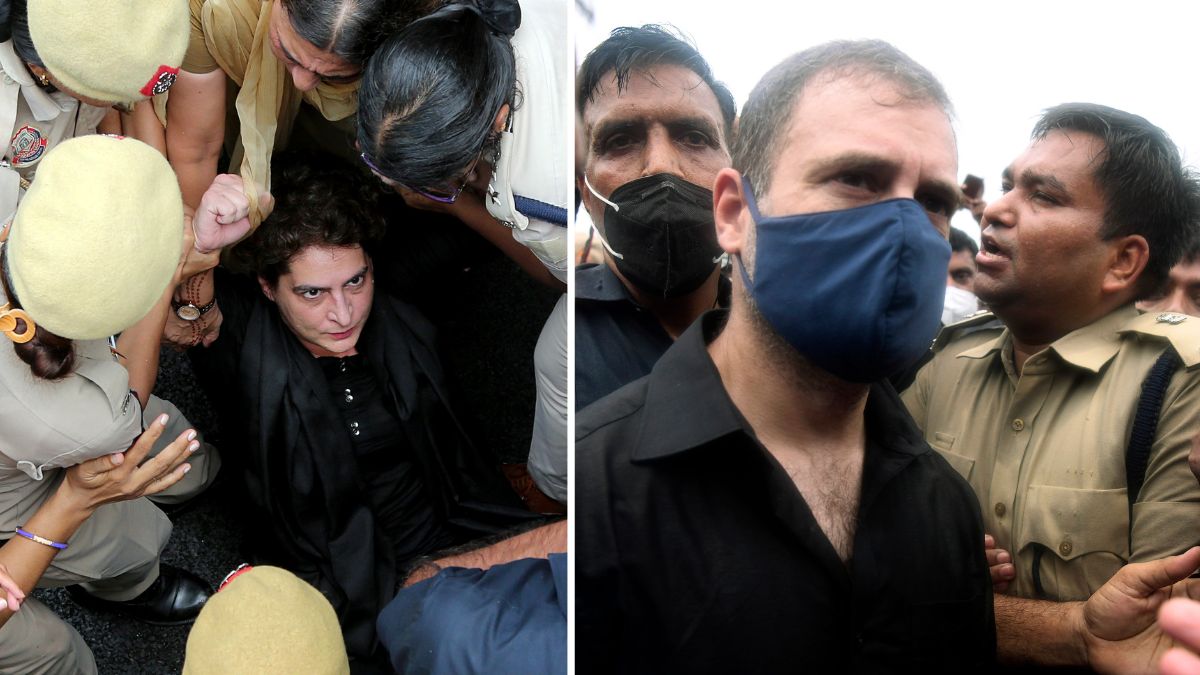 Rahul Gandhi, Priyanka Gandhi Released From Detention After Dramatic Protests Against Centre In Delhi