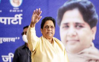 Mayawati's BSP To Support NDA's Jagdeep Dhankhar In Vice Presidential..