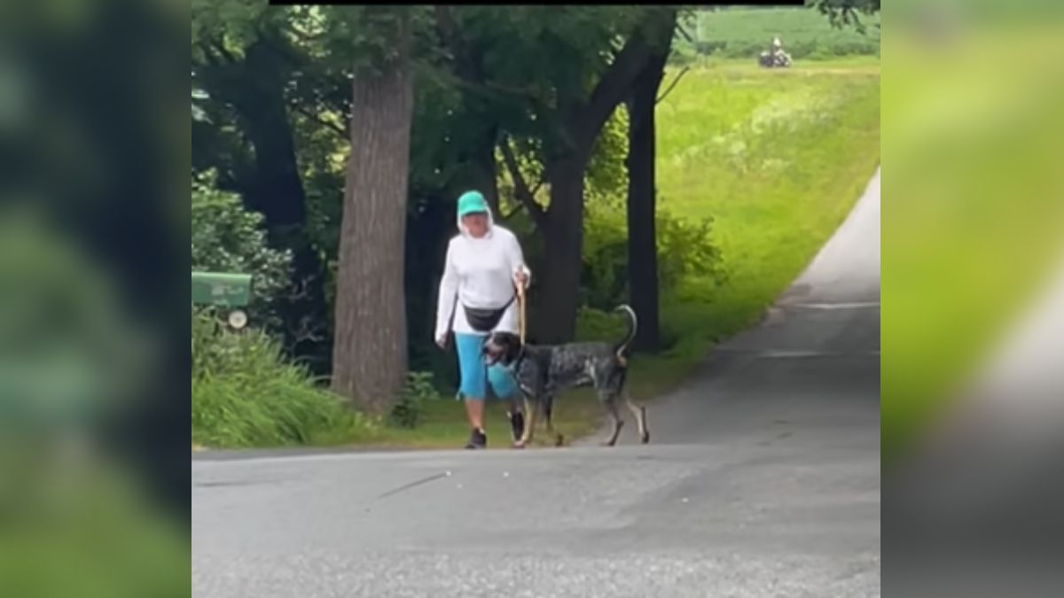 Dog Waits Every Day For Neighbour To Accompany Her During Morning Walks | Watch