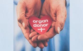 World Organ Donation Day: Know History, Significance And Myths
