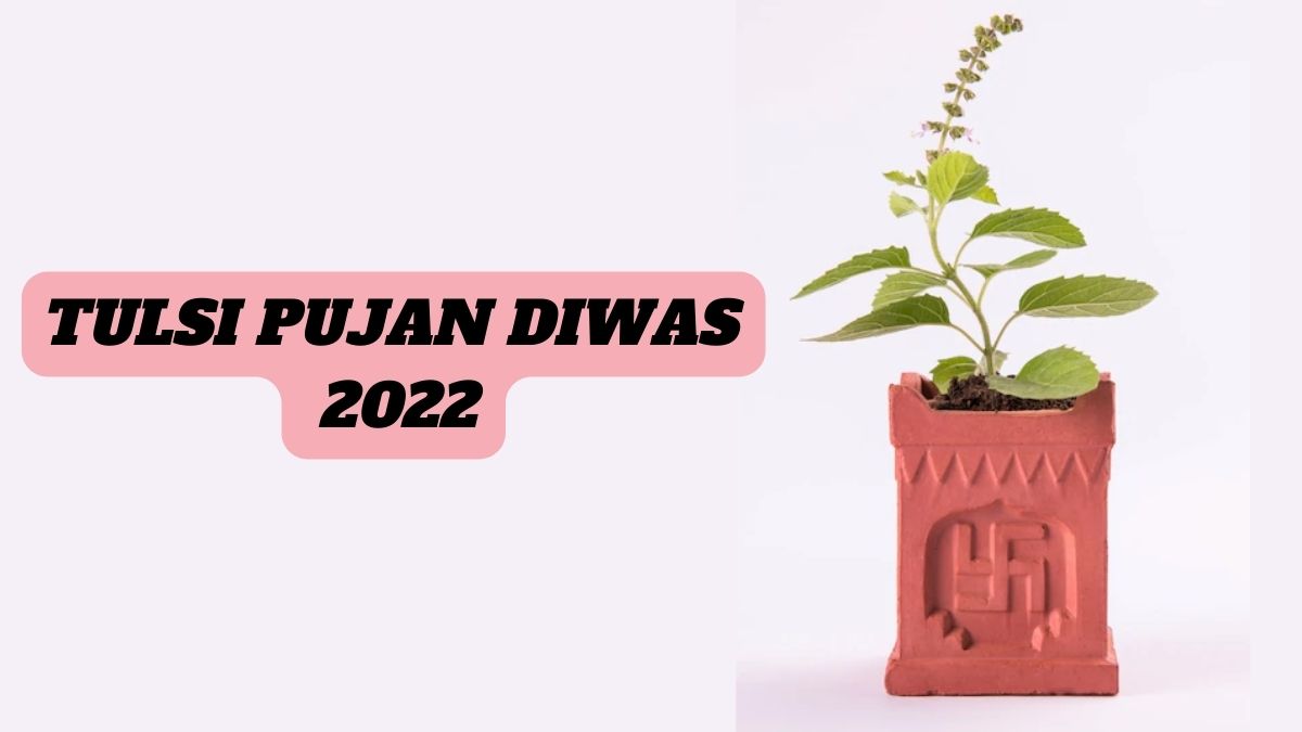 Tulsi Pujan Diwas 2022 Date, Significance And Puja Vidhi Of This