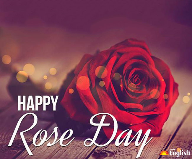 Happy Rose Day 2022: Wishes, messages, quotes, greetings, SMS, Facebook and  WhatsApp status to share on this day