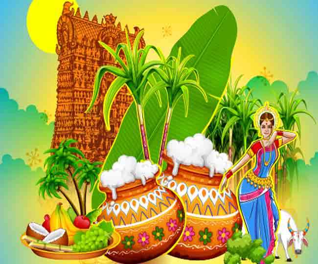 Pongal 2022: When is Pongal? Know date, shubh muhurat, customs and rituals of the festival