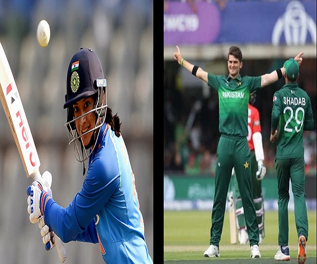 Smriti Mandhana, Shaheen Afridi named ICC Cricketers of the Year