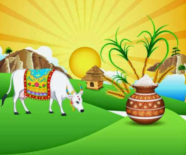 Pongal 2022: From Bhogi Pongal to Kaanum Pongal, know all about a four-day festival