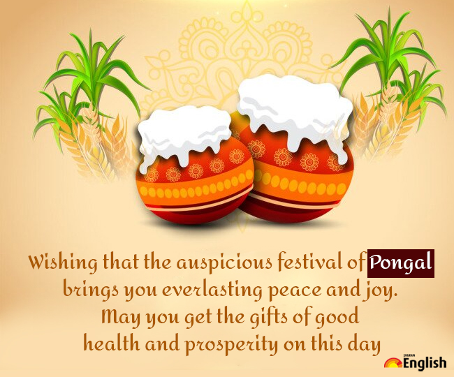 Happy Pongal 2022: Wishes, messages, quotes, greetings, WhatsApp and Facebook status to share with loved ones