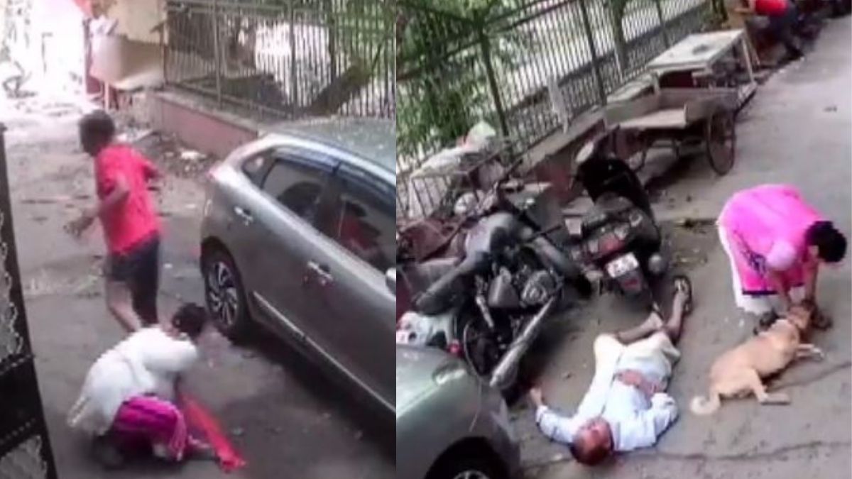 Delhi Man Hits Pet Dog, Owners With Iron Rod; 3 Injured | Watch Chilling Video