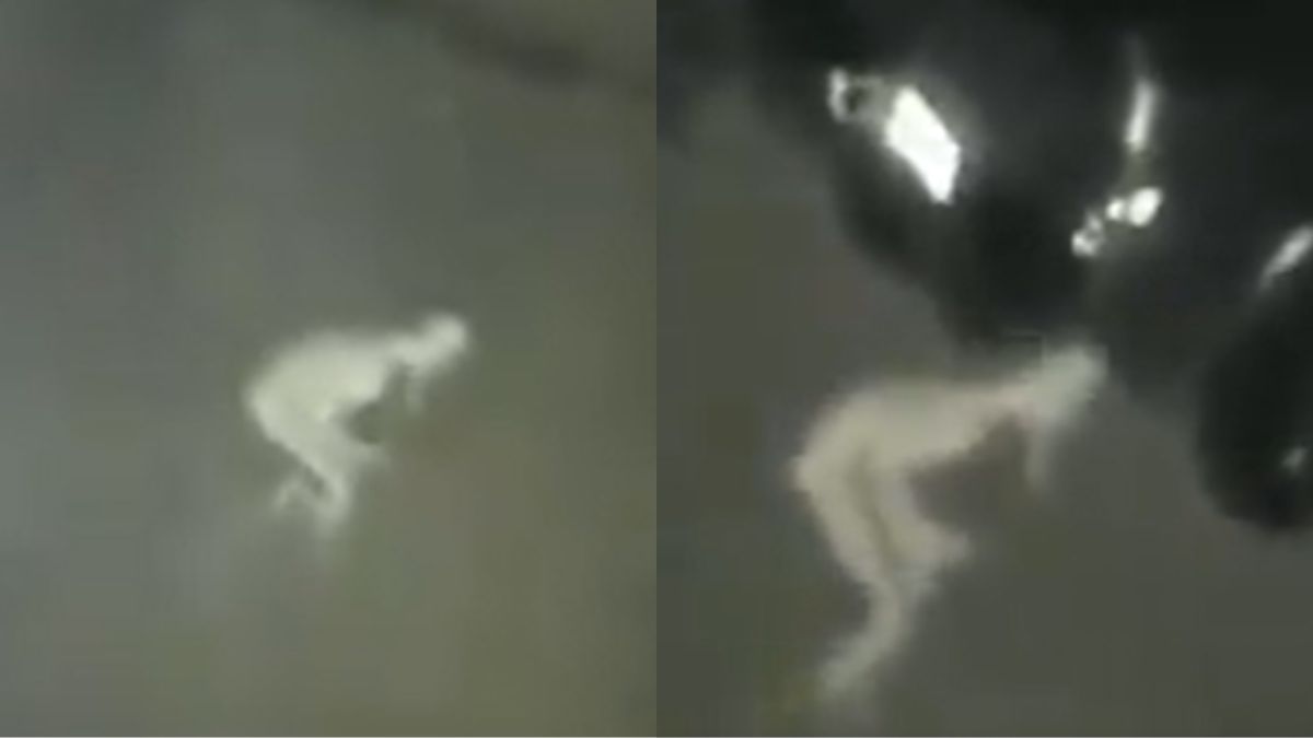 Mysterious Pale Creature Caught On Camera, Netizens Ask If It's Real Or Fake | Watch